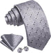 Silver Grey Plaid Necktie Set-LBWY1522