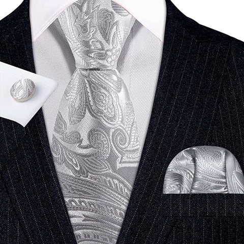 Bright Silver Paisley Necktie Set-LBW1233