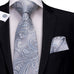 Silver and Blue Necktie Set-LBW433